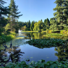 Botanical garden, Park, Tourist attraction