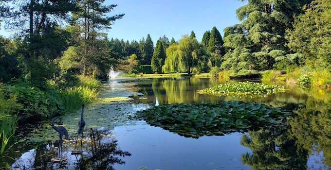 Botanical garden, Park, Tourist attraction