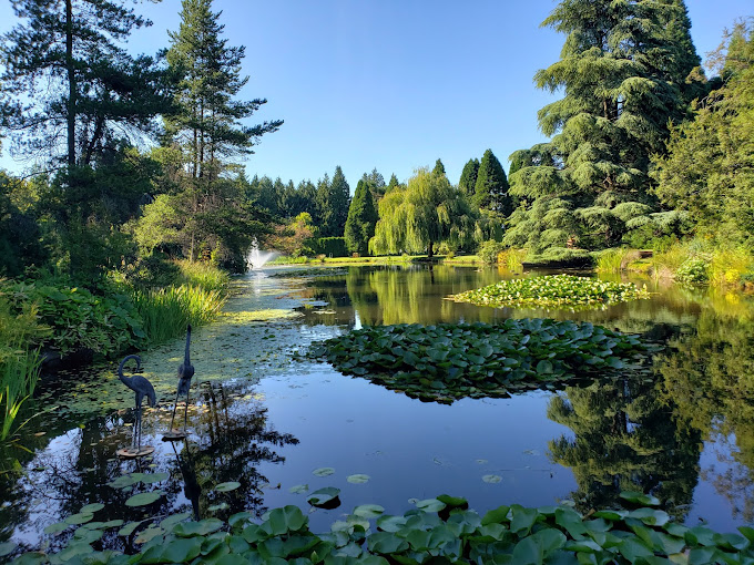 Botanical garden, Park, Tourist attraction