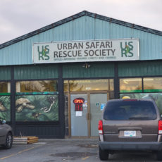 Animal rescue service