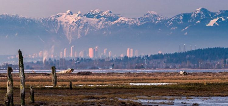 Coastal Haven for Wildlife and Outdoor Enthusiasts Surrey, CA