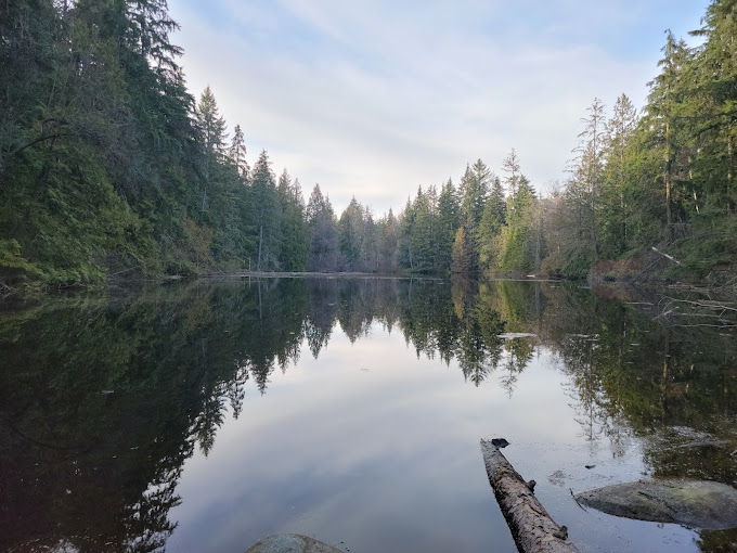 Nature's Playground: Exploring the Trails of Mundy Park in Coquitlam ...