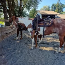 Horseback riding service