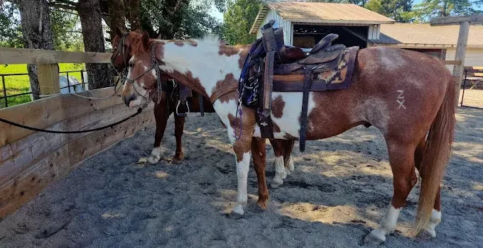 Horseback riding service