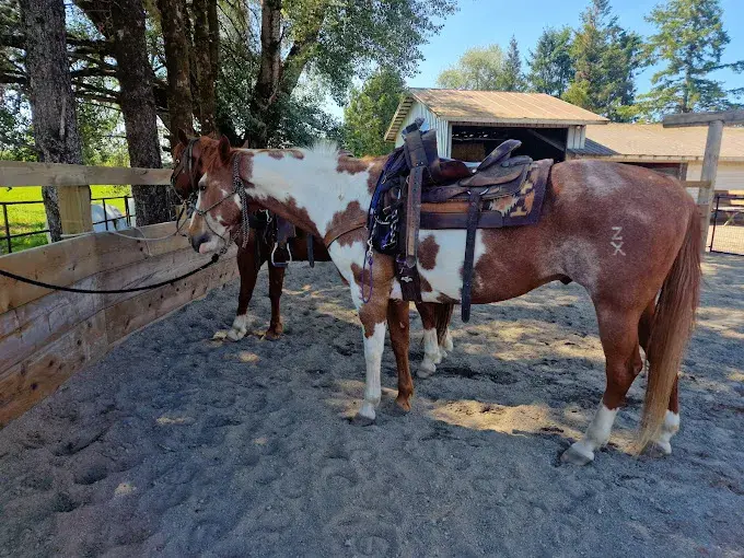 Horseback riding service