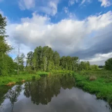 Park,Ecological park