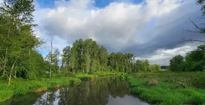 Park,Ecological park