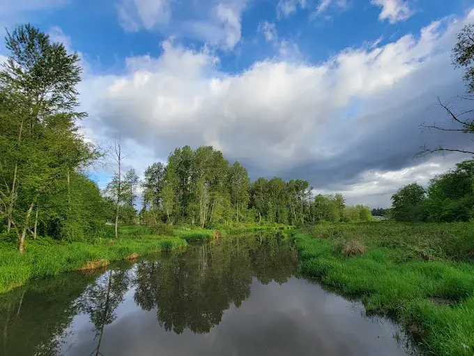 Park,Ecological park