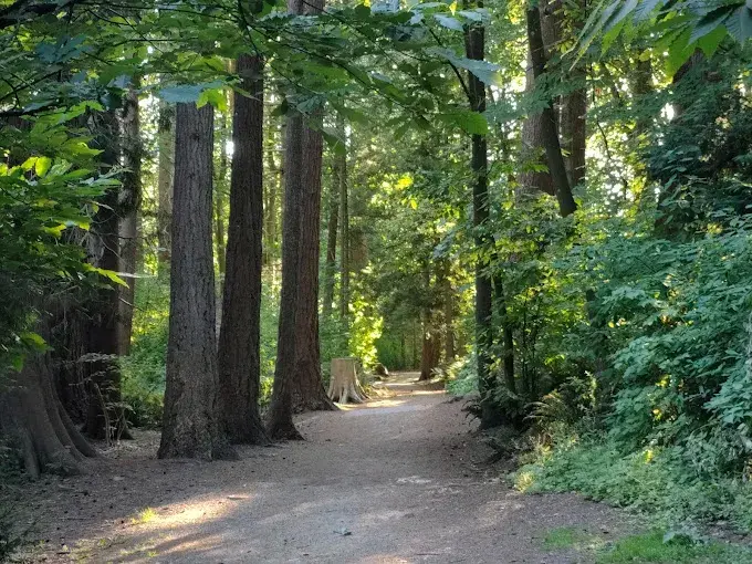 Park,Tourist attraction